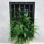 Casa-patio Axerquia Апартаменты *