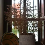 Апартаменты Casa-patio Axerquia