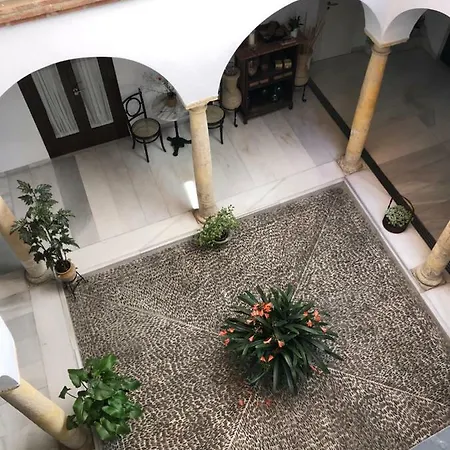 Casa-patio Axerquía Córdova