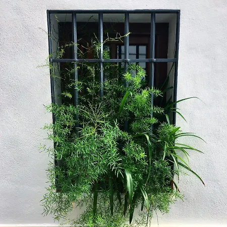 Casa-patio Axerquia Apartment *