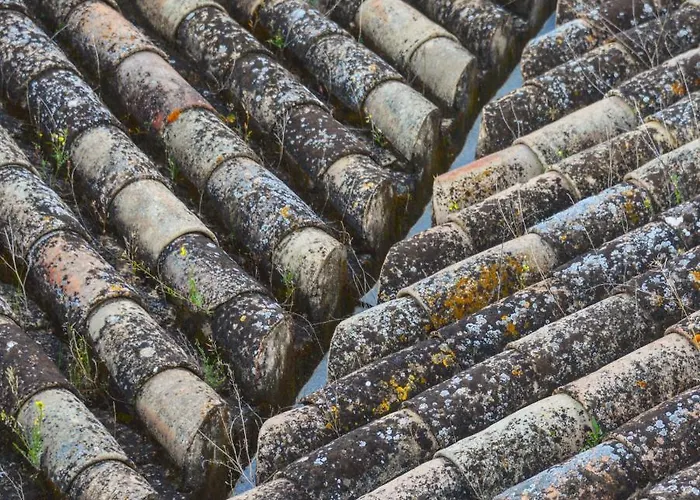 Appartement Casa-patio Axerquia *